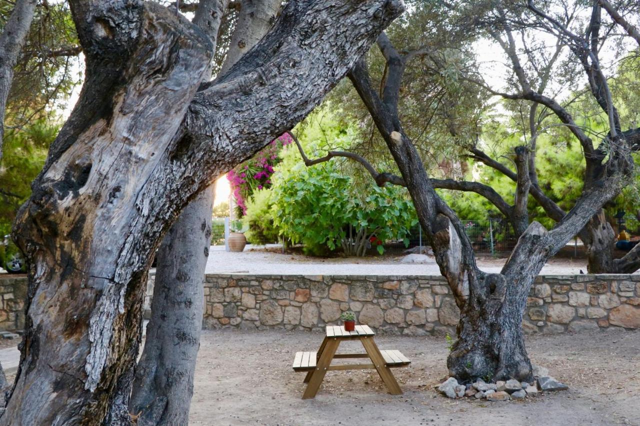 Pyrgos Ralli Estate Guesthouse Aegina エクステリア 写真