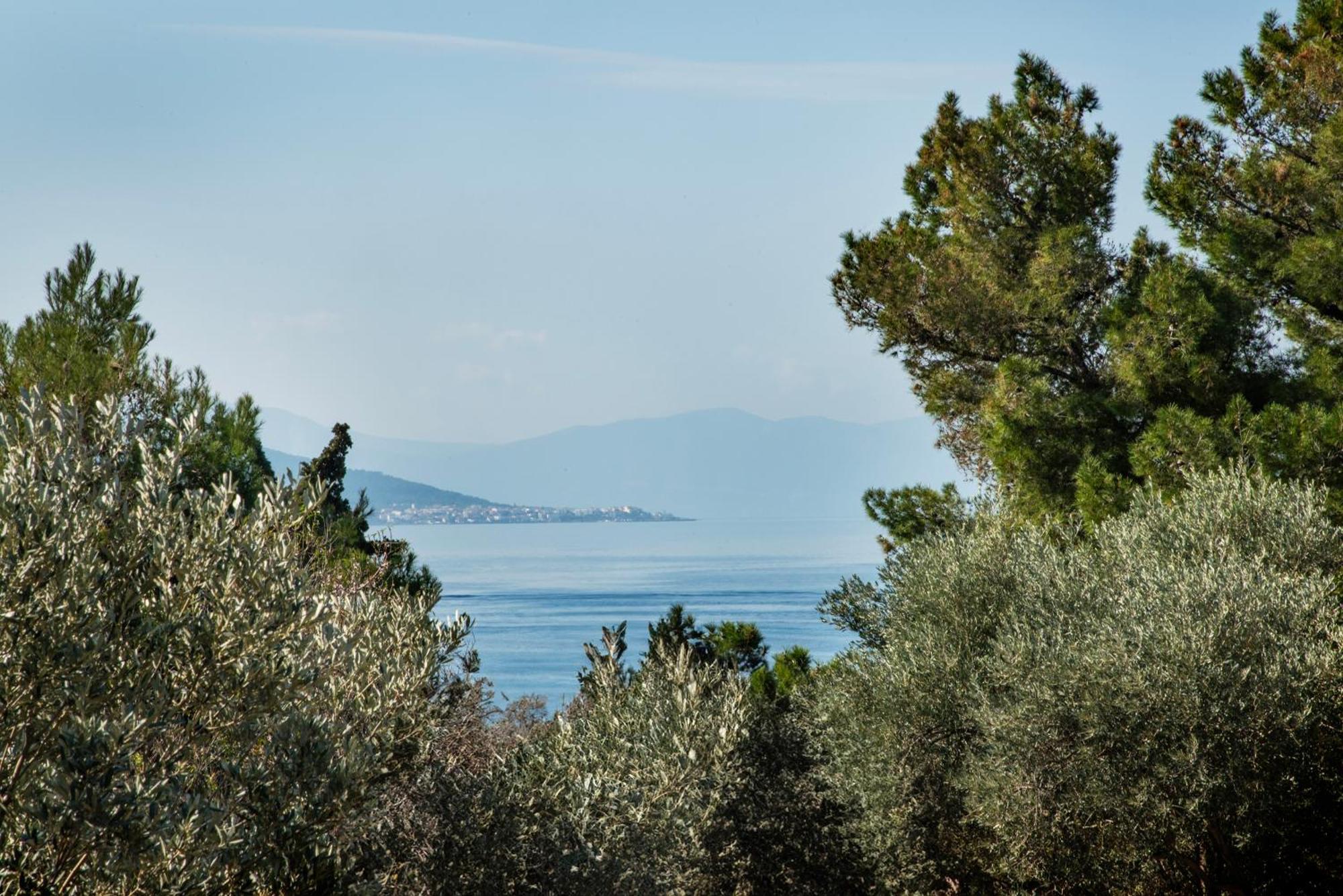 Pyrgos Ralli Estate Guesthouse Aegina エクステリア 写真
