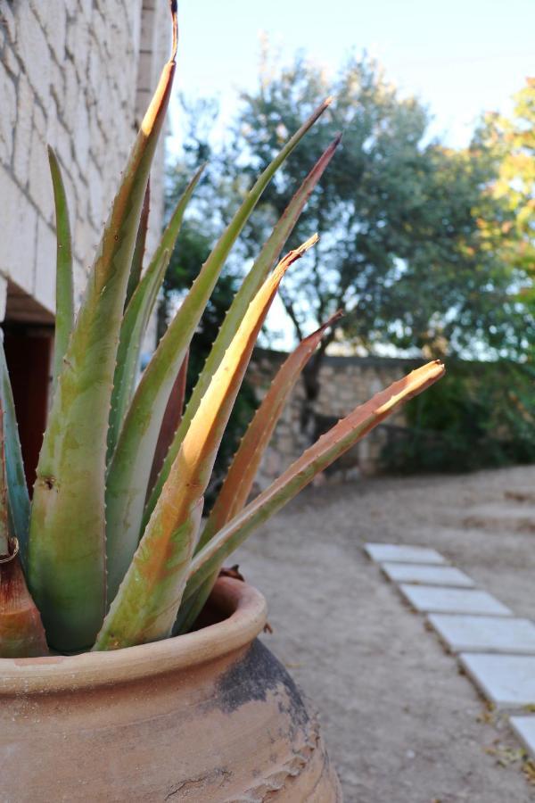 Pyrgos Ralli Estate Guesthouse Aegina エクステリア 写真